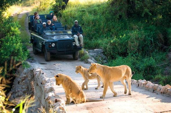 Kruger Park Lodge 401 雾观 外观 照片